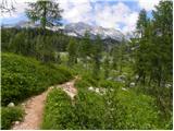 Planina Blato - Koča pri Triglavskih jezerih